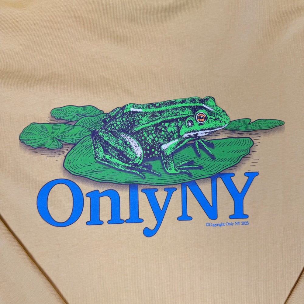Only NY Bullfrog Graphic Long Sleeve T-Shirt Mens Med Yellow Cotton Streetwear - Picture 8 of 10